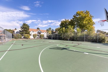 Belmar Villas - Basketball Court